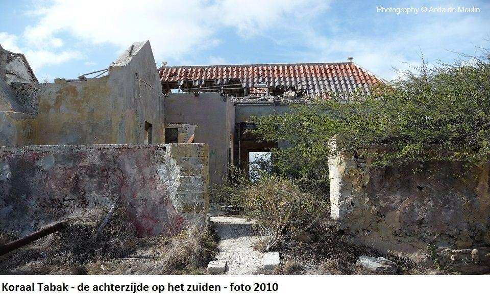23. Koraal Tabak achterzijde op het zuiden 2010